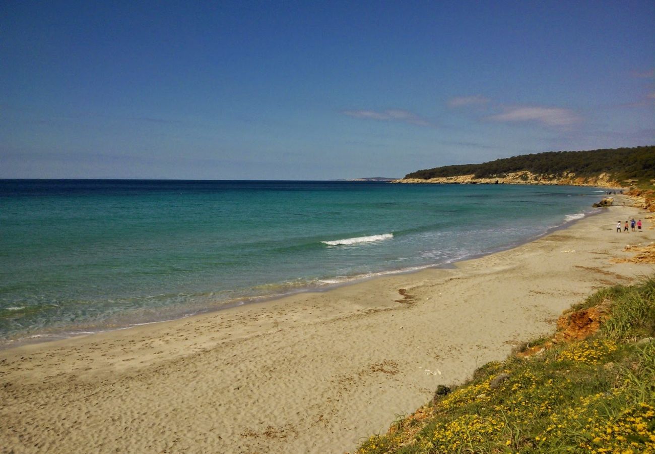 Villa a Santo Tomas - Villa Belinda